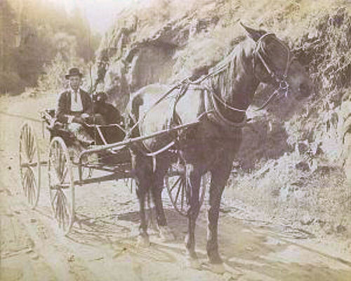 Tam in buggy on county road