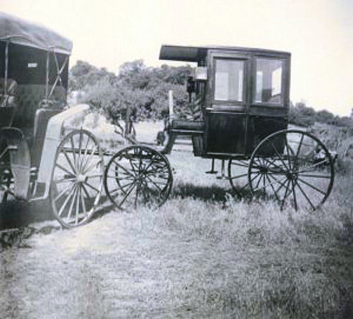 Tam in buggy on county road