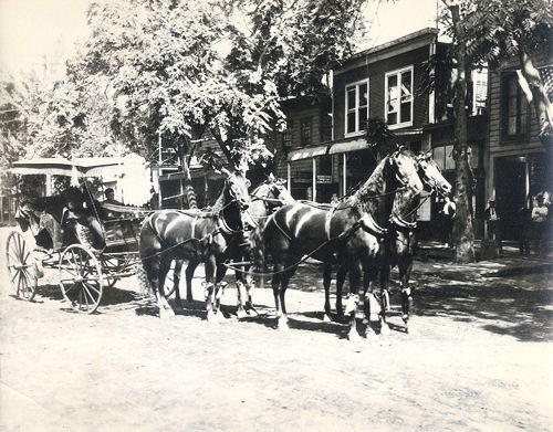 Tam in buggy on county road